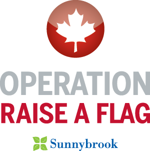 Operation Raise a Flag